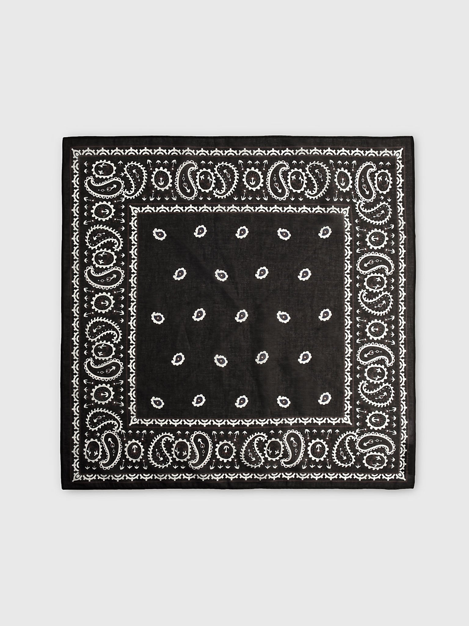 Hunter Bell Women's Printed Scarf - Saint Bernard