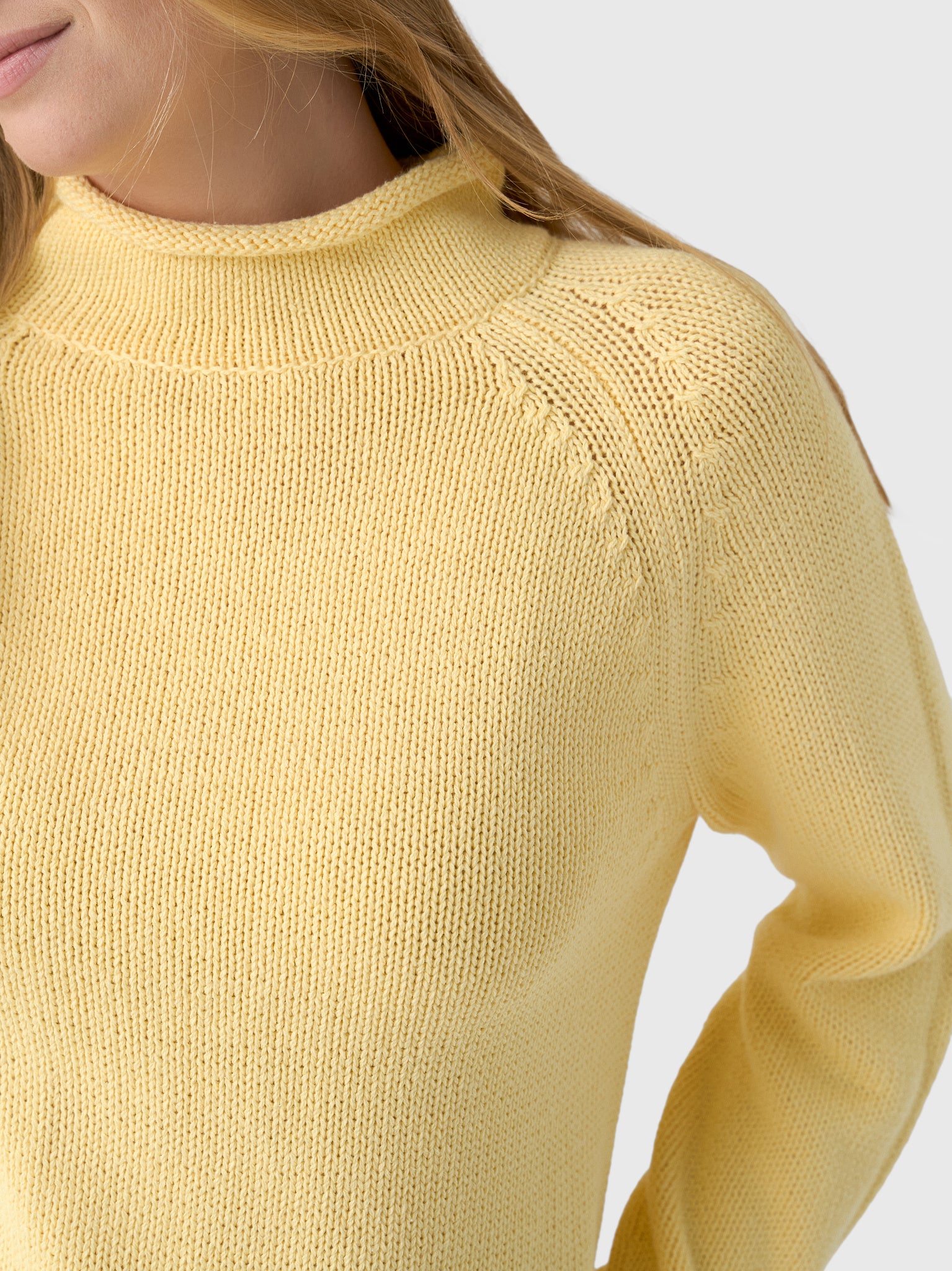 Alex Mill Women's Eastport Rollneck Sweater - Saint Bernard