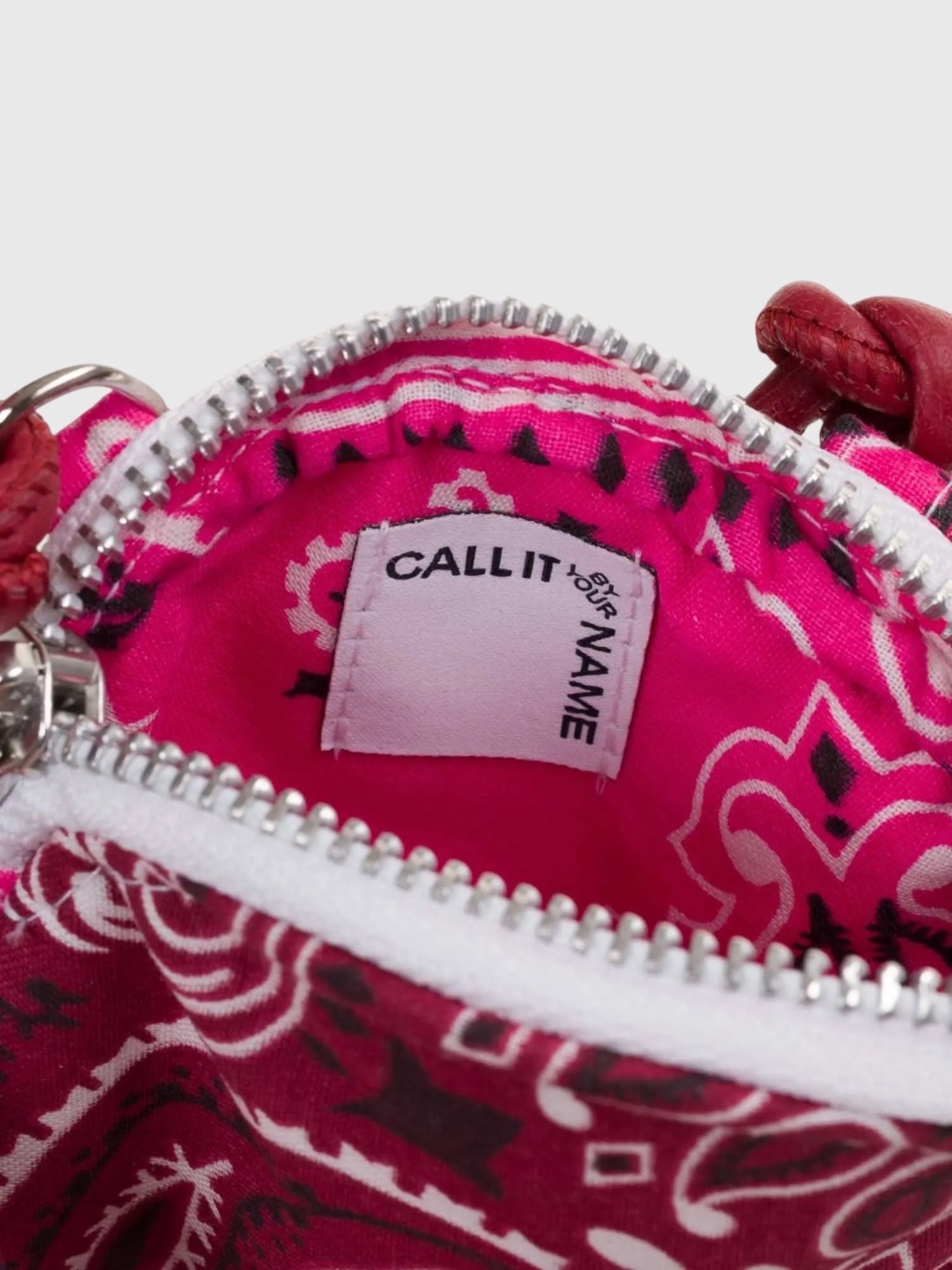 Call It By Your Name Embroidered Purse - Saint Bernard