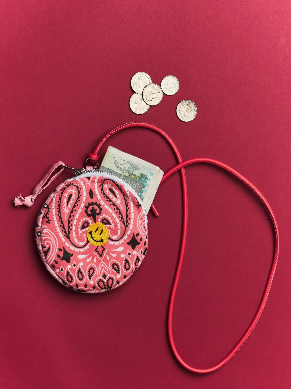 Call It By Your Name Embroidered Purse - Saint Bernard