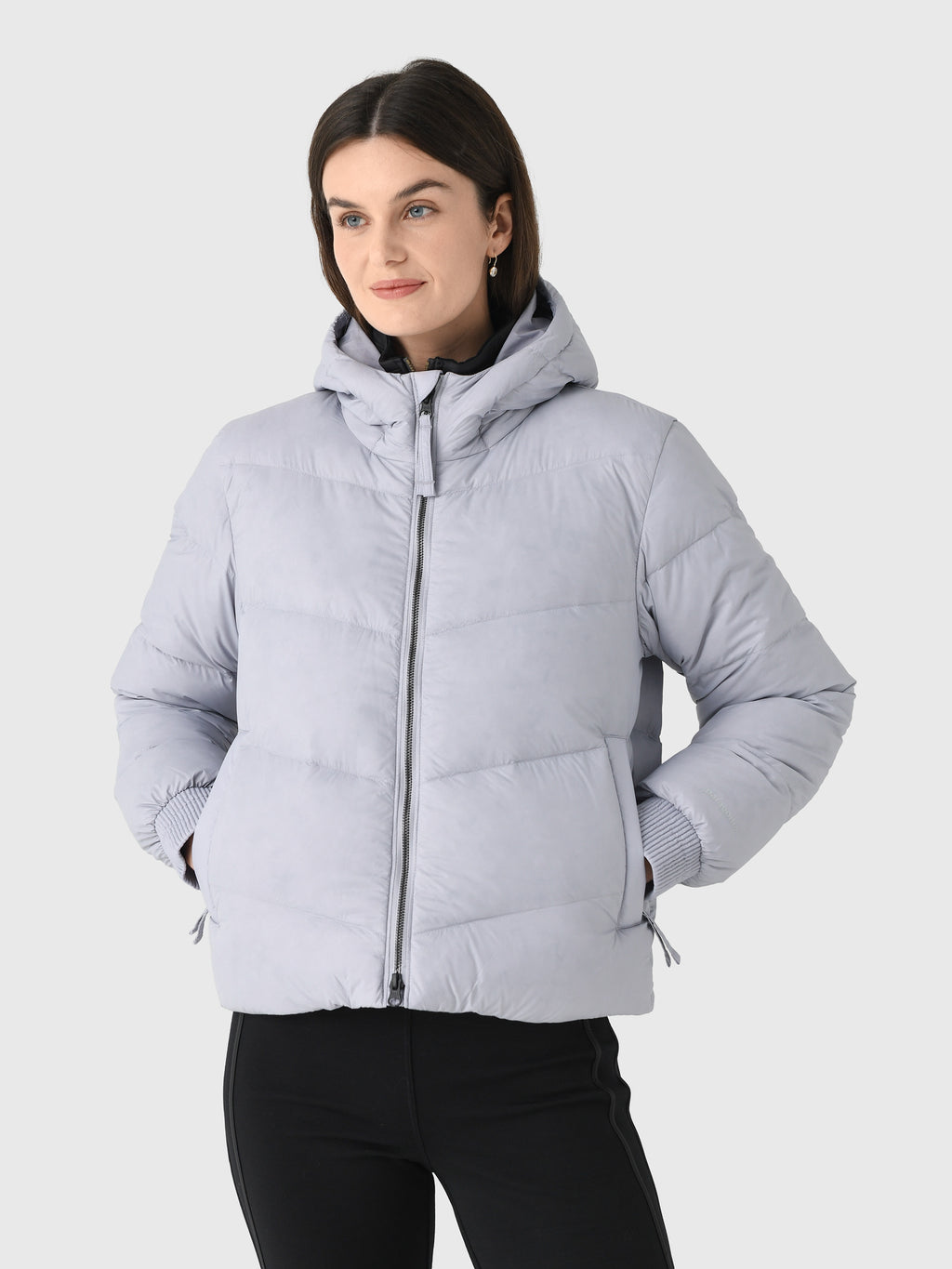 Patagonia Women's Sindit Hoody Jacket - Saint Bernard