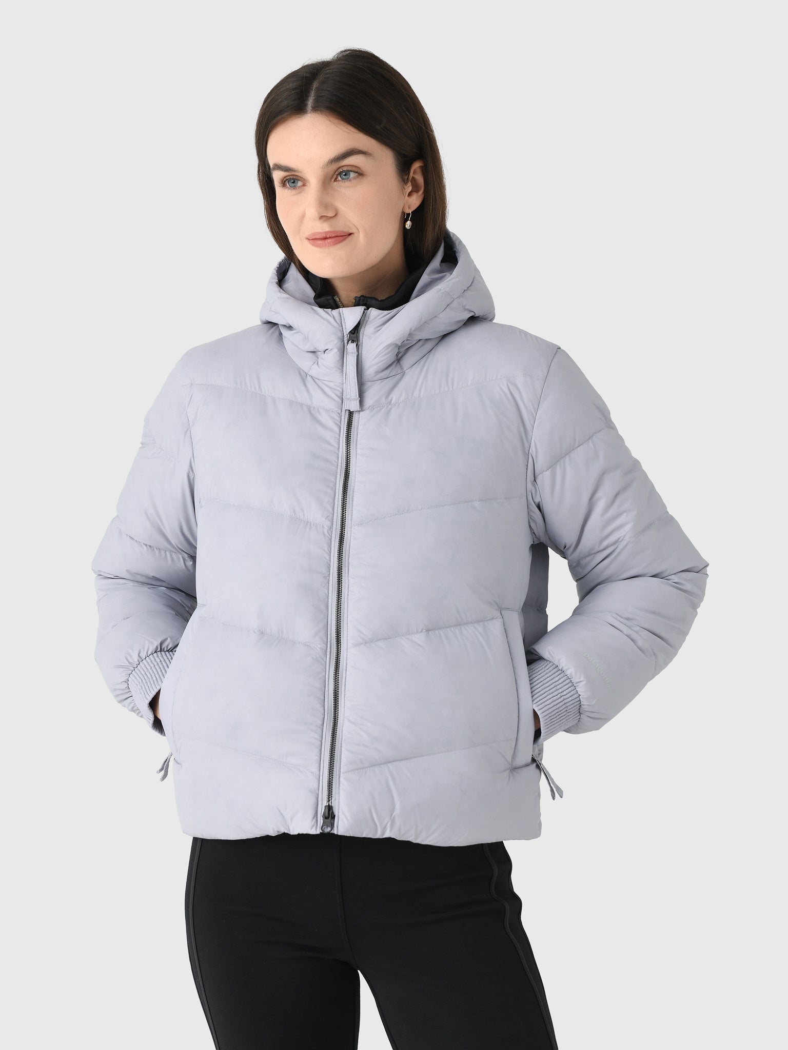 Patagonia Women's Sindit Hoody Jacket - Saint Bernard