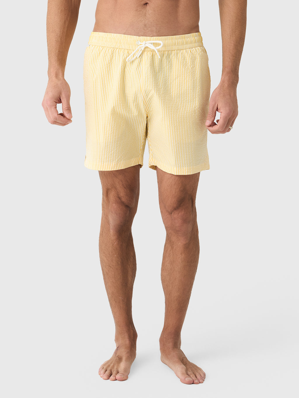 04651 / A Trip In A Bag Men's Seersucker Swim Trunk - Saint Bernard