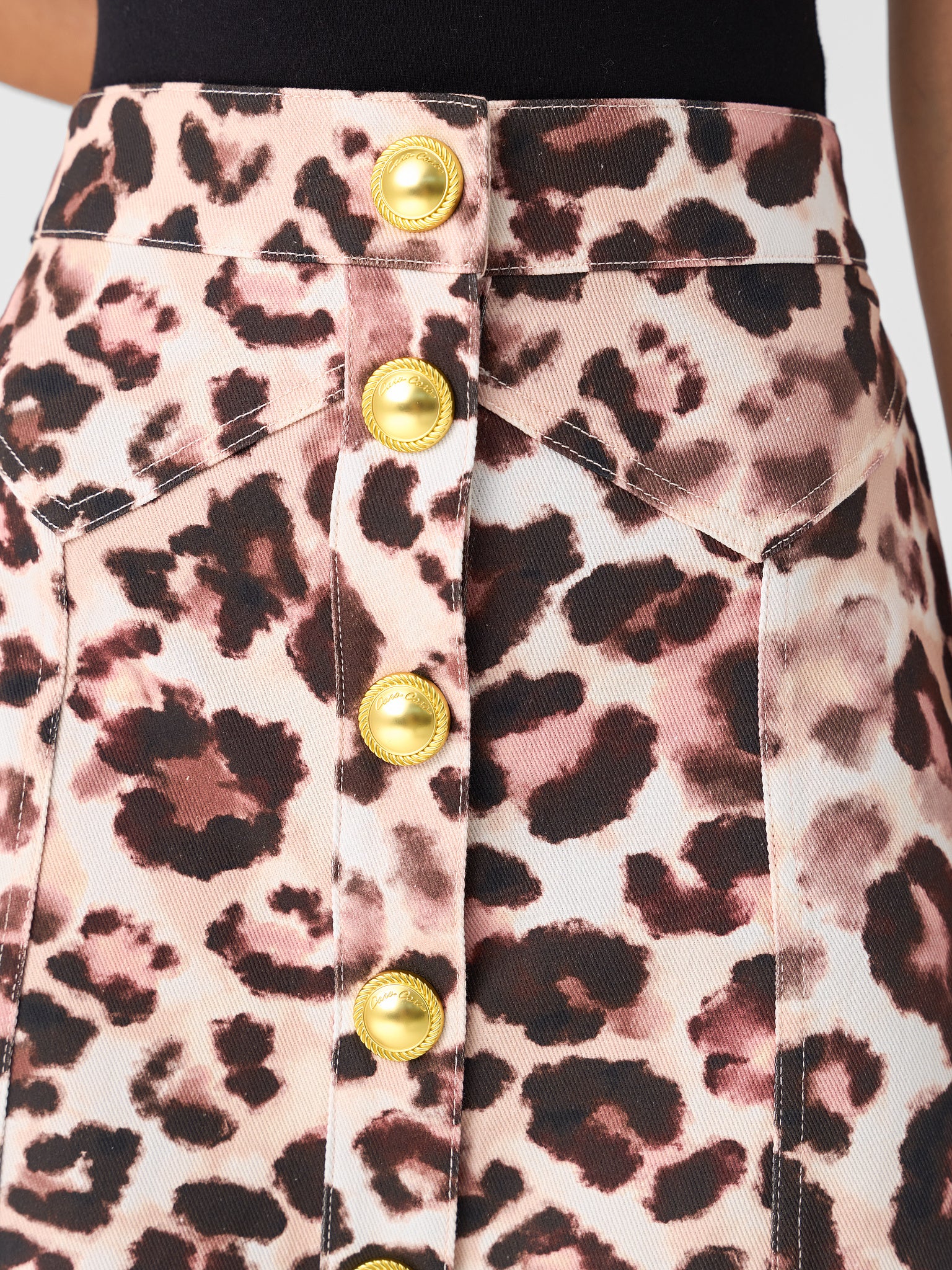 3023CVxABSTRACTCHEETAHIVORY-alt4