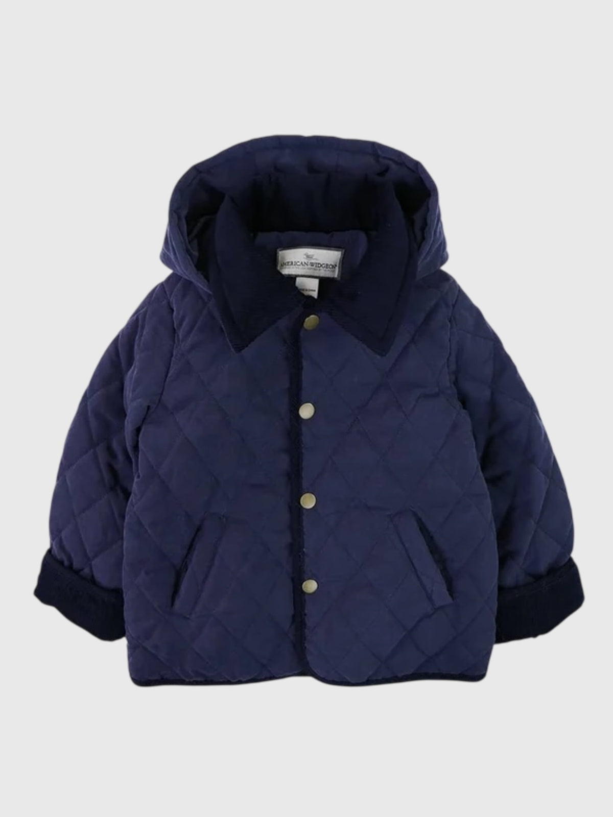 Widgeon Boys' Detachable Hood Jacket - Saint Bernard