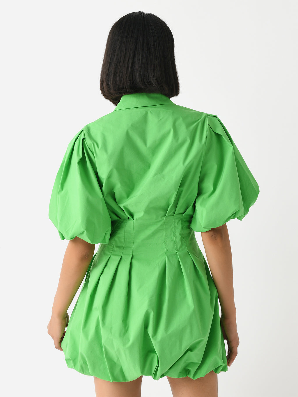 324-1030-TxPARAKEET-alt3