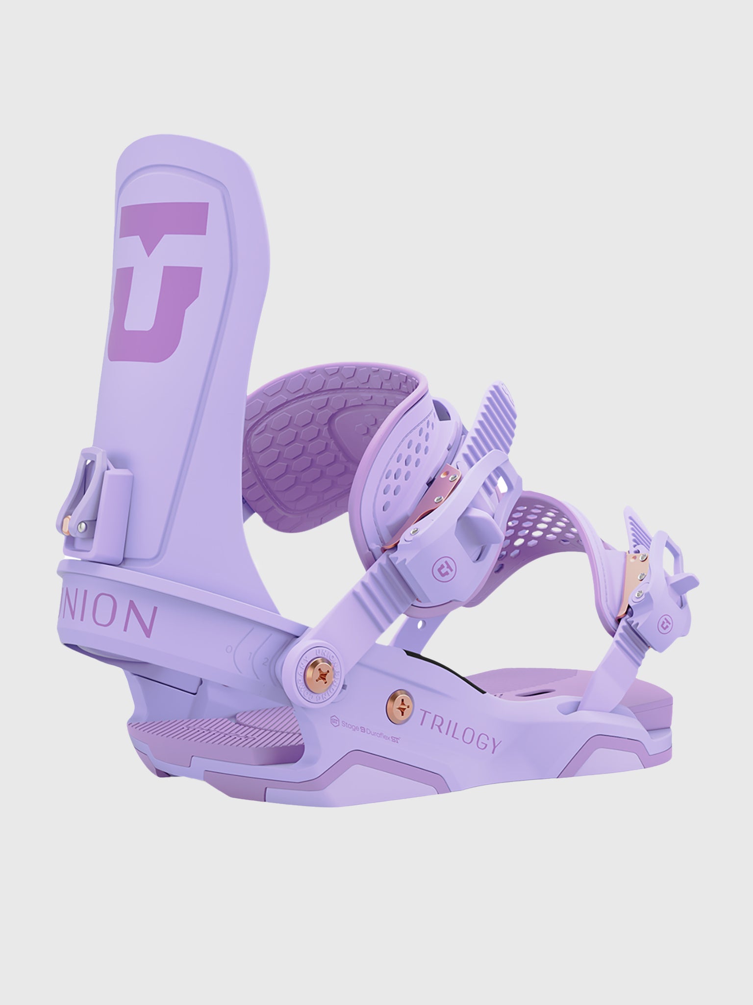 3241106xLAVANDER-alt1