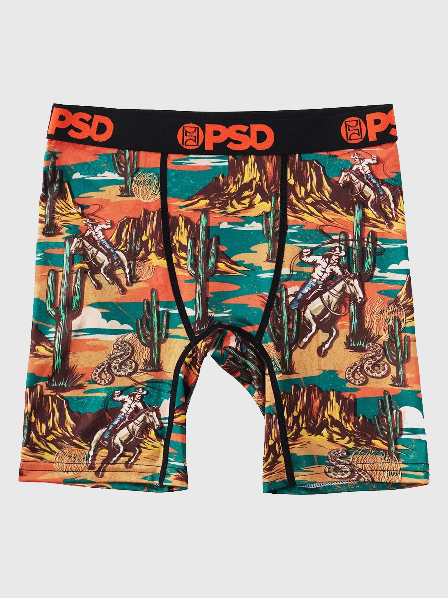 PSD Boys' Deserted Boxer Brief - Saint Bernard