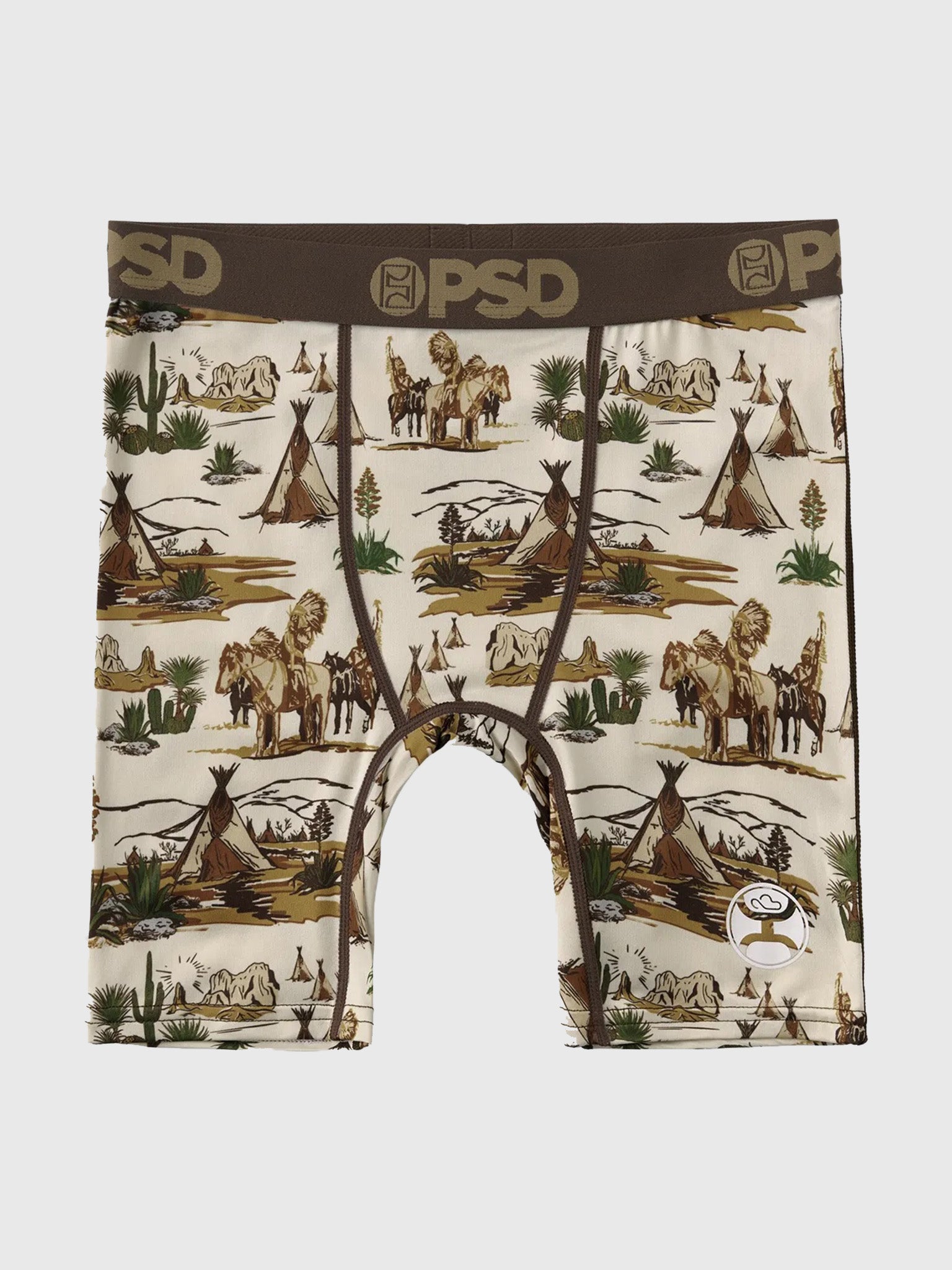 PSD Boys' Hooey Vintage Boxer Brief - Saint Bernard