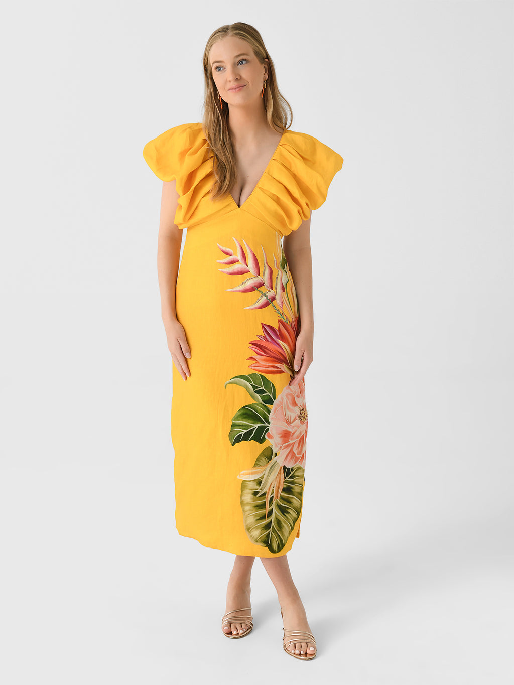 Farm Rio Women's Spring Awakening Midi Dress – Saint Bernard
