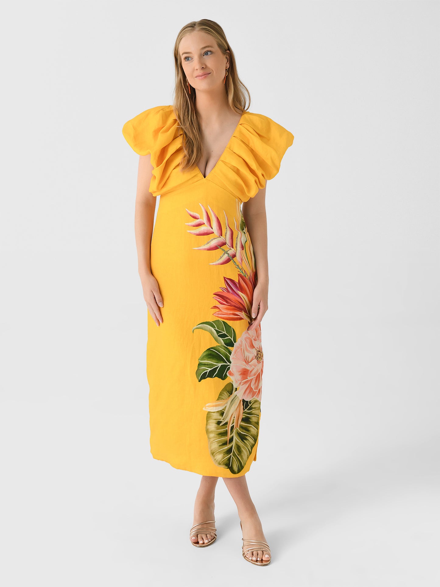 Farm Rio Women's Spring Awakening Midi Dress - Saint Bernard