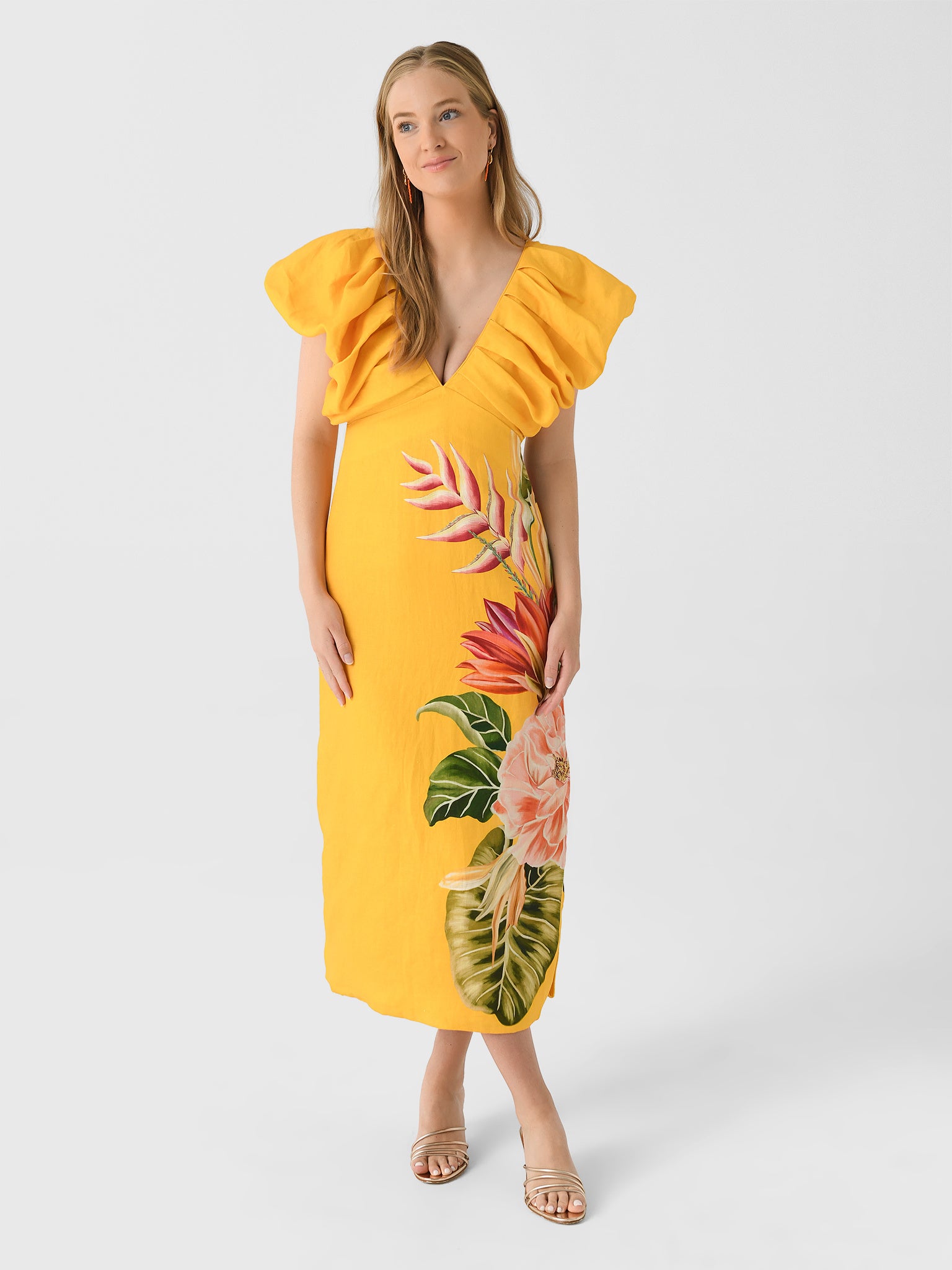 Farm Rio Women's Spring Awakening Midi Dress - Saint Bernard