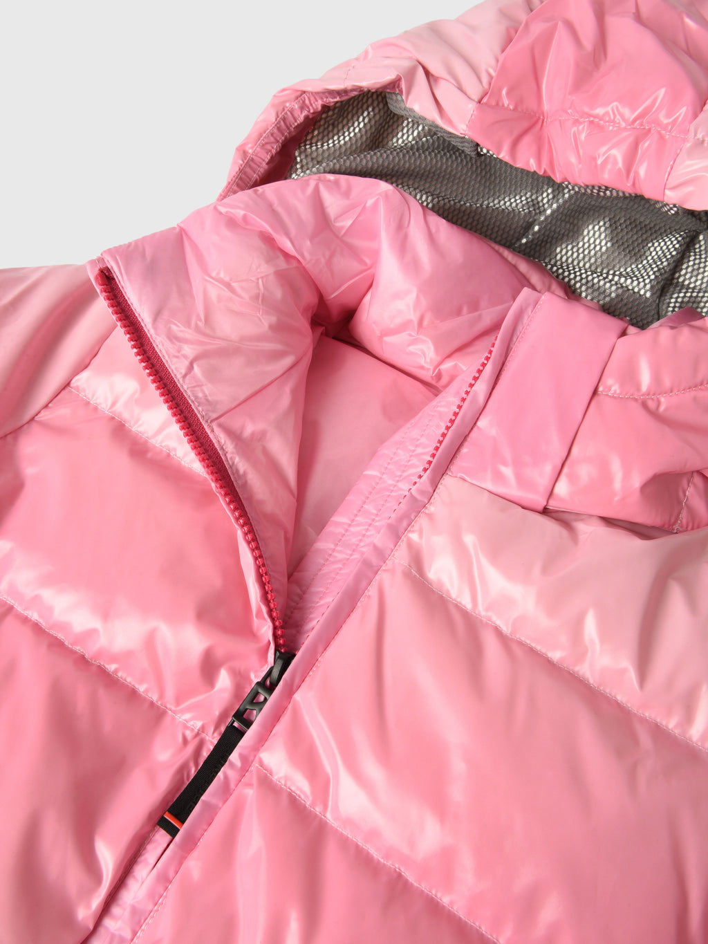 35569607xROSEOMBRE-alt1