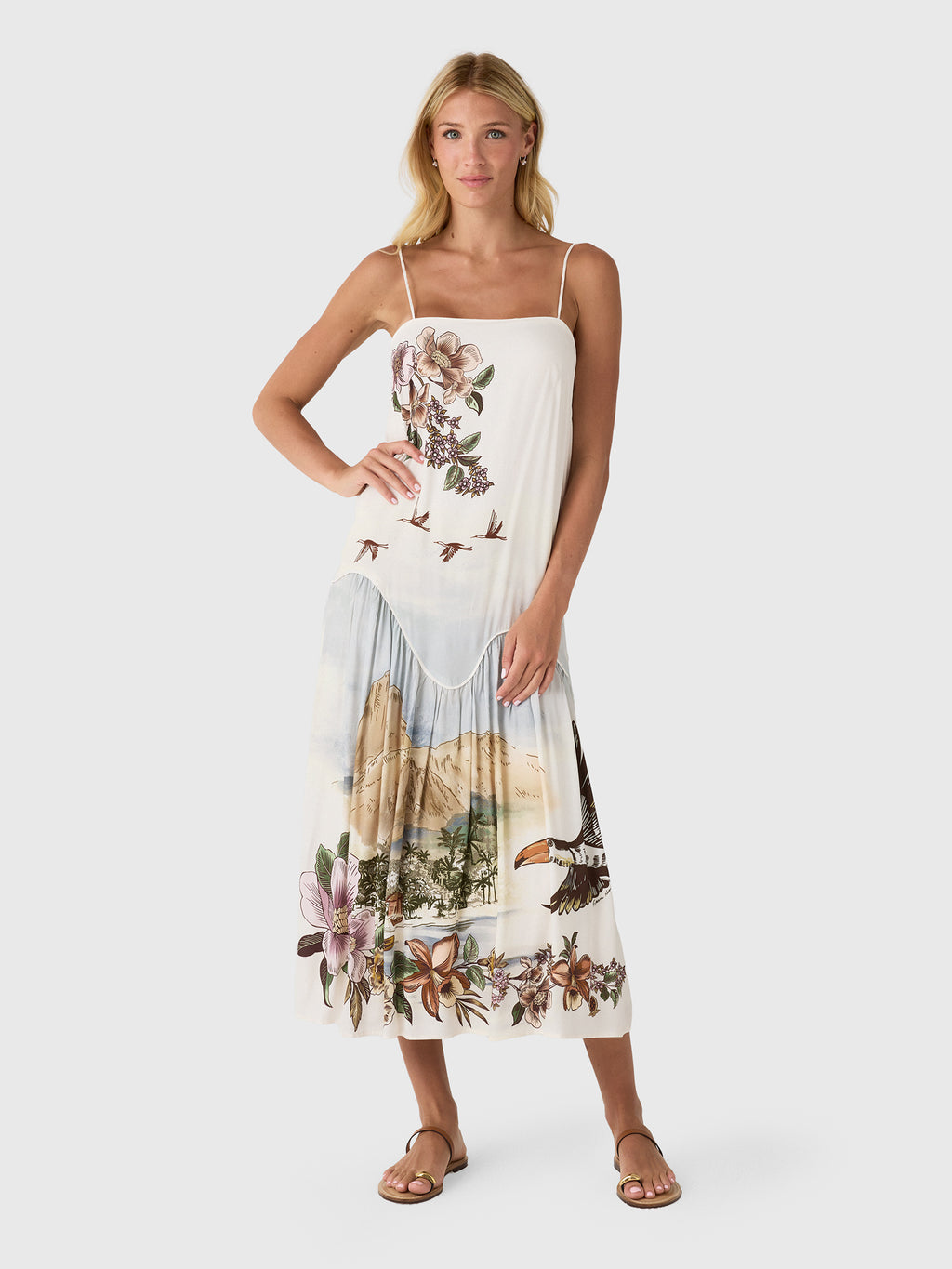 Farm Rio Women's Toile De Rio Sleeveless Maxi Dress - Saint Bernard