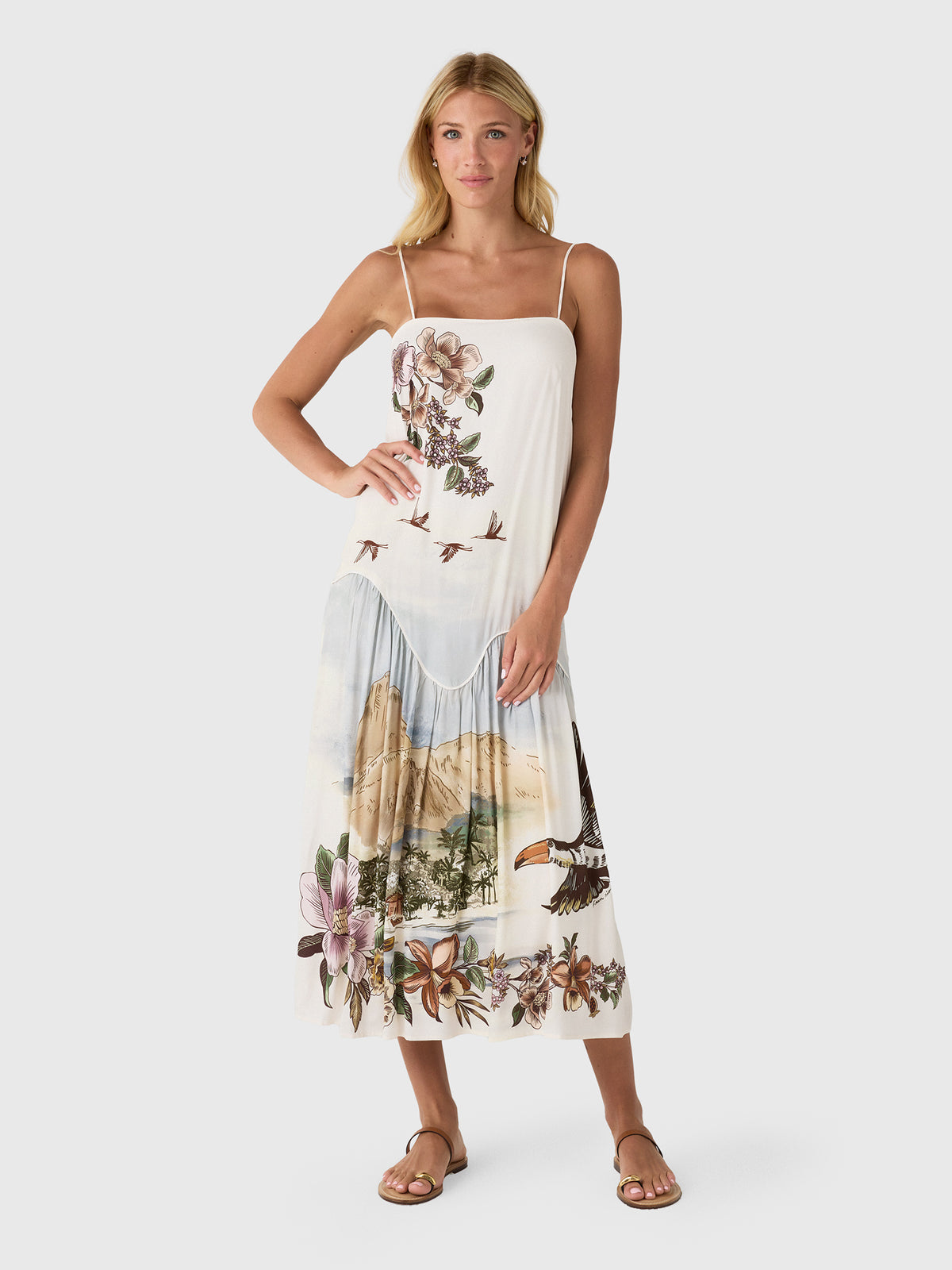 Farm Rio Women's Toile De Rio Sleeveless Maxi Dress - Saint Bernard