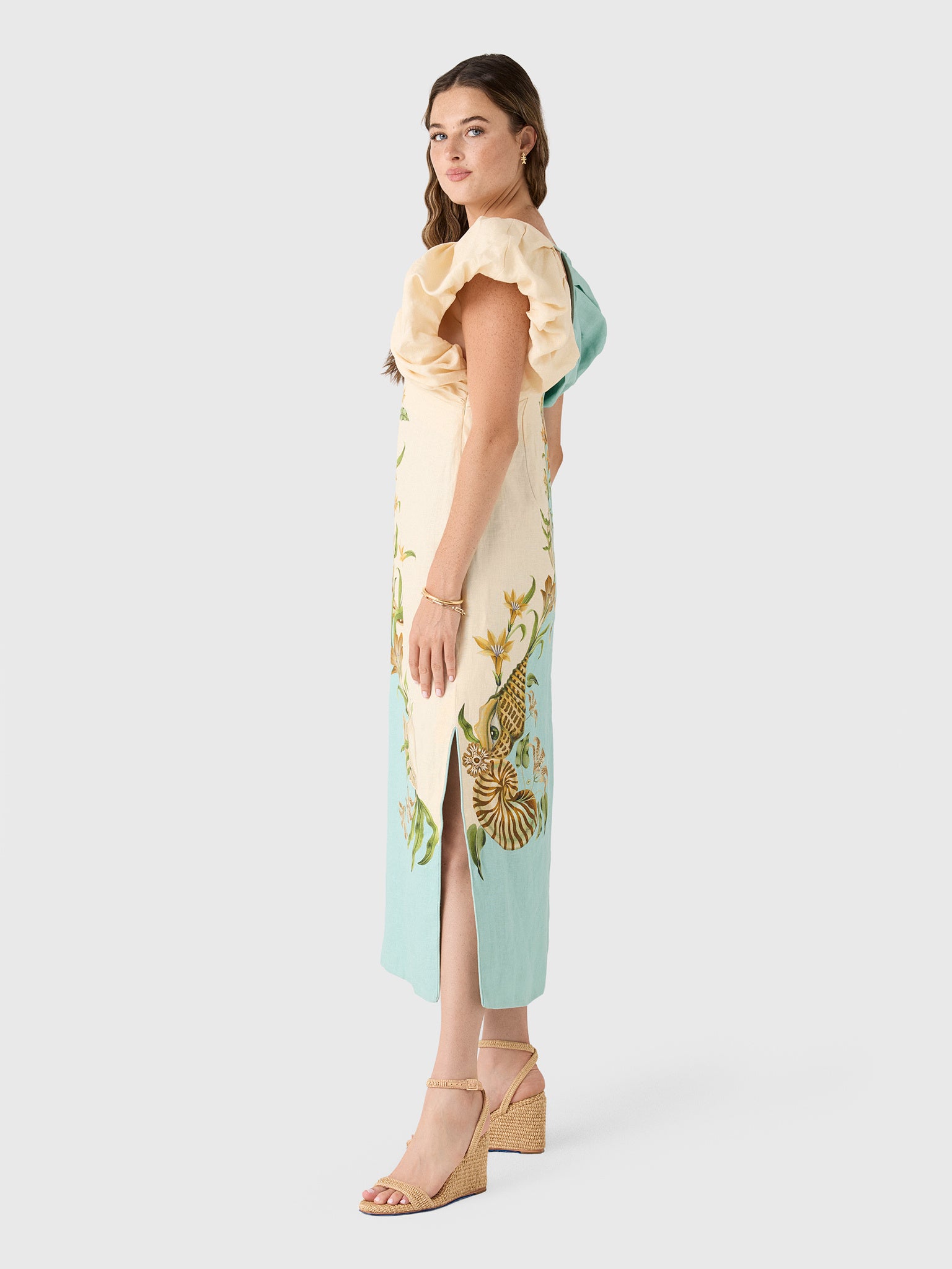 Farm Rio Women's Marine Garden Midi Dress - Saint Bernard
