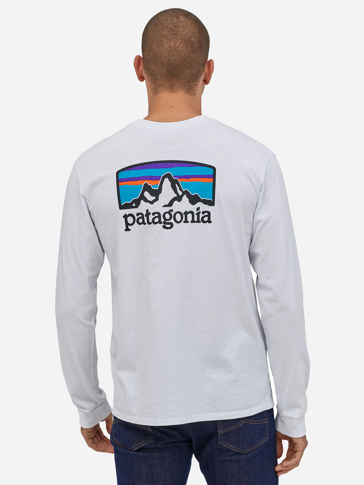 Patagonia Men's Long-Sleeve Fitz Roy Horizons Responsibili-Tee - Saint Bernard