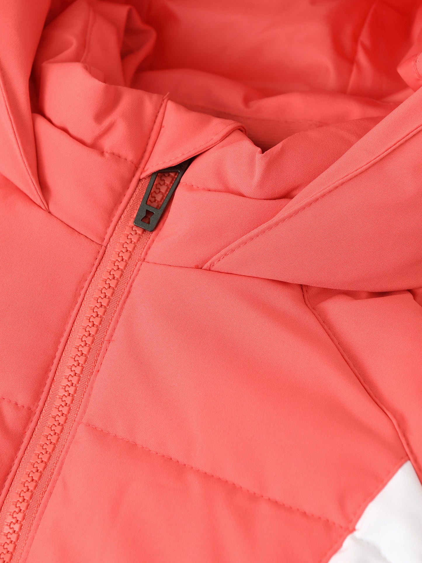 38SJ025420xCORALHAZE-alt2