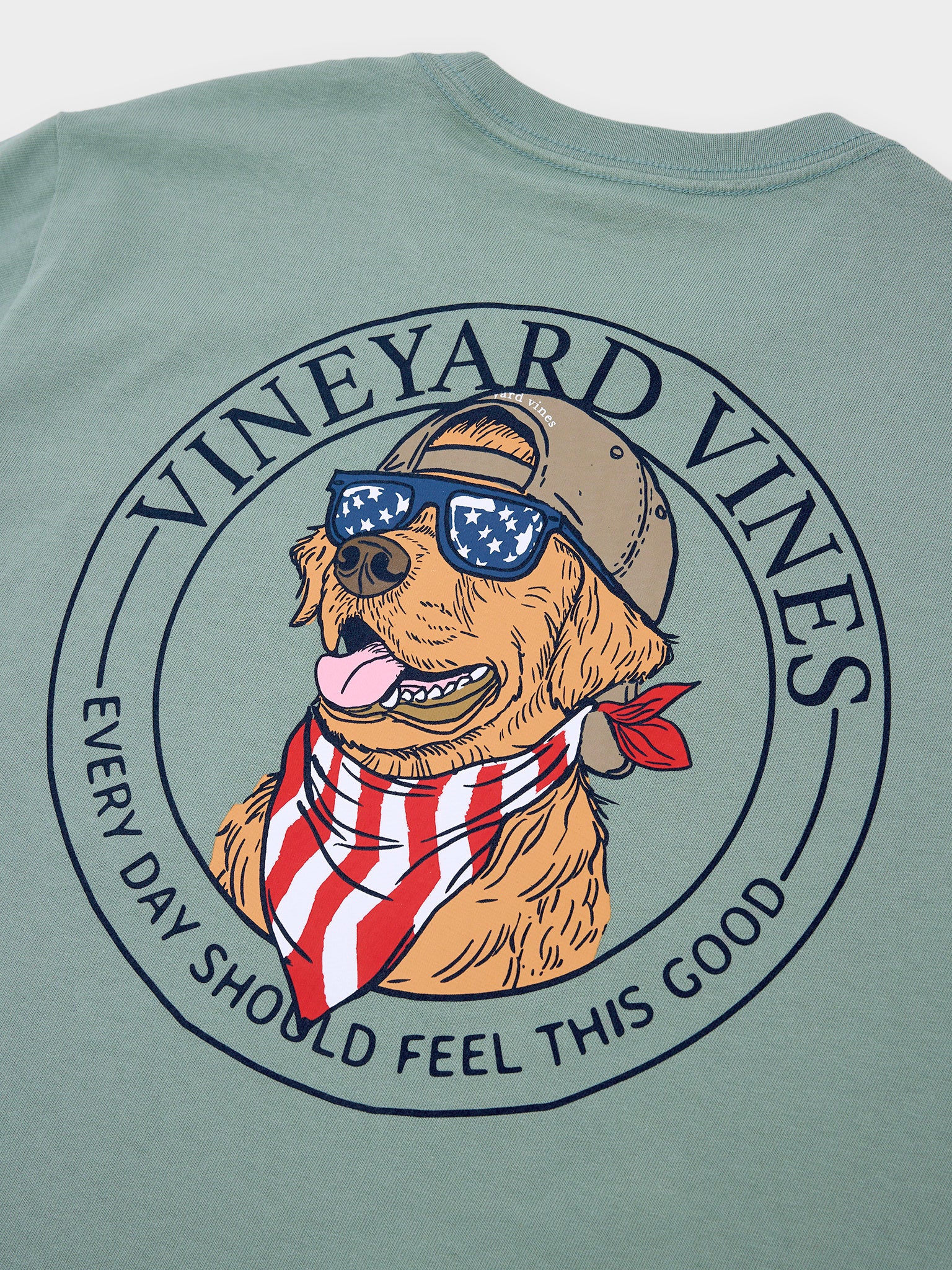 Vineyard Vines Boys' America Dog Short-Sleeve Pocket Tee - Saint Bernard