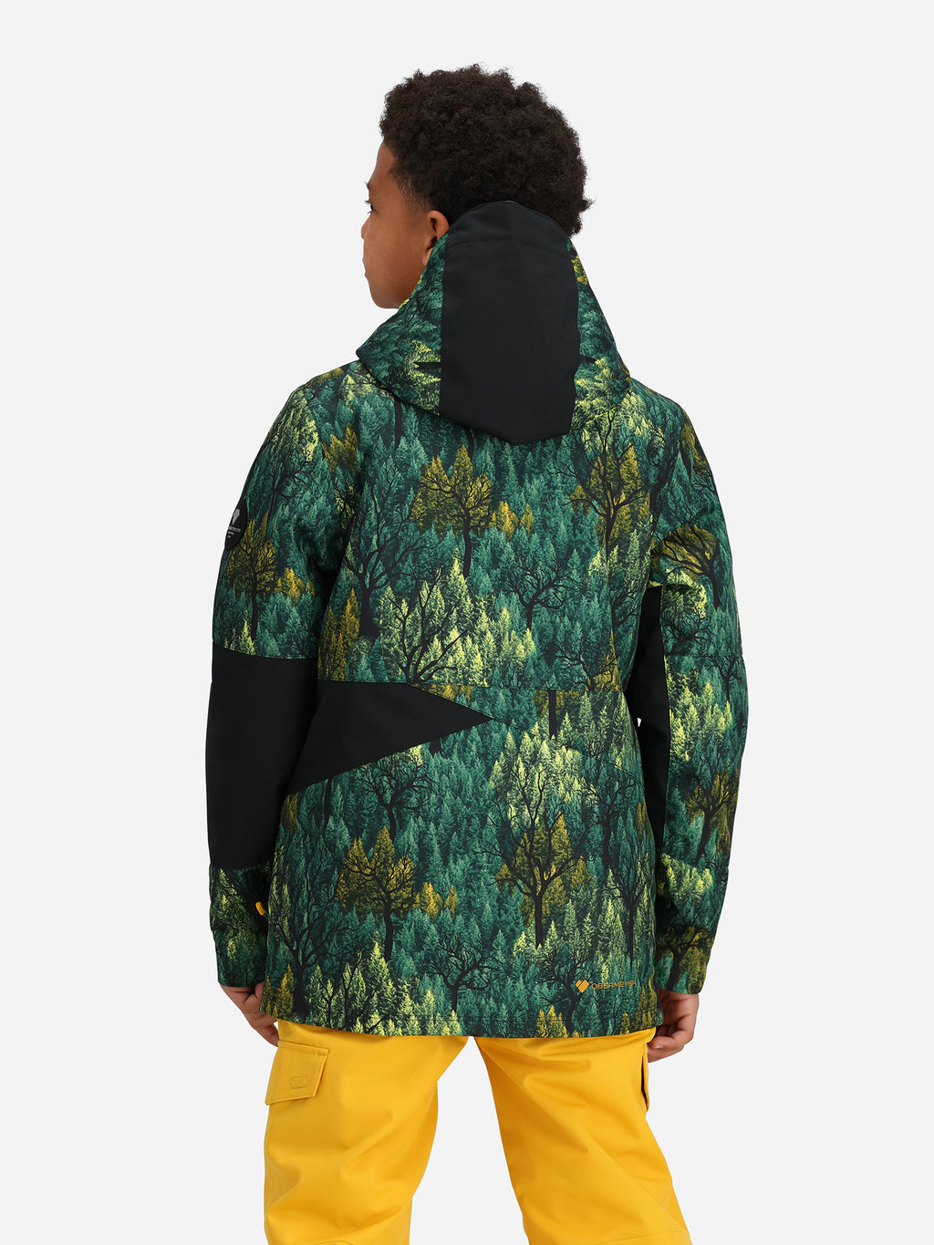 41091xBACKCOUNTREE-alt1