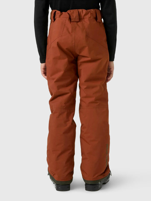 Helly Hansen Teen Boys' Legendary Ski Pant - Saint Bernard