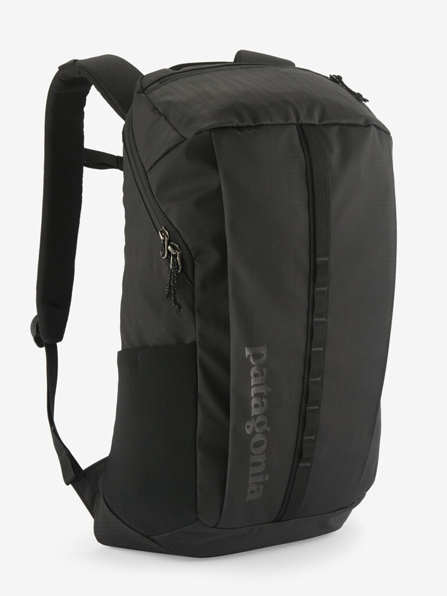 Patagonia Black Hole® Pack 25L - Saint Bernard