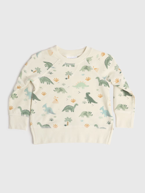Angel Dear Kids' Soft Dinos Raglan Sweatshirt + Jogger Set