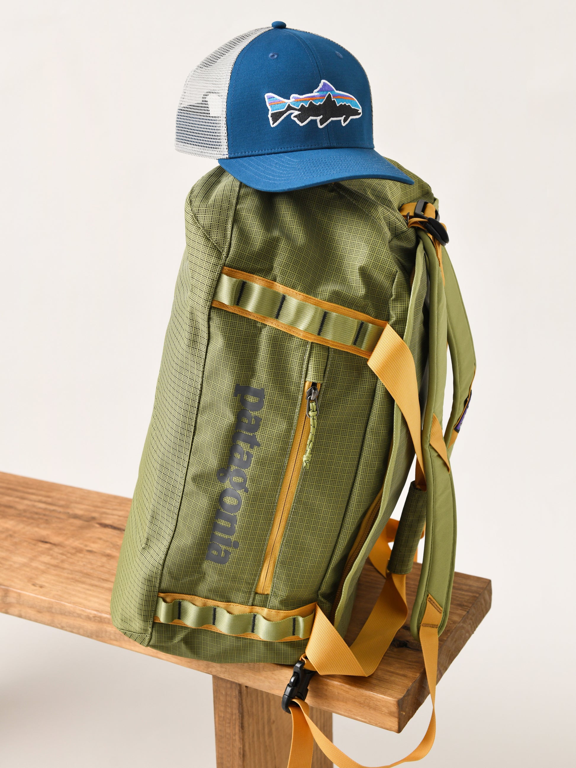 Patagonia Black Hole Duffel 40L Saint Bernard