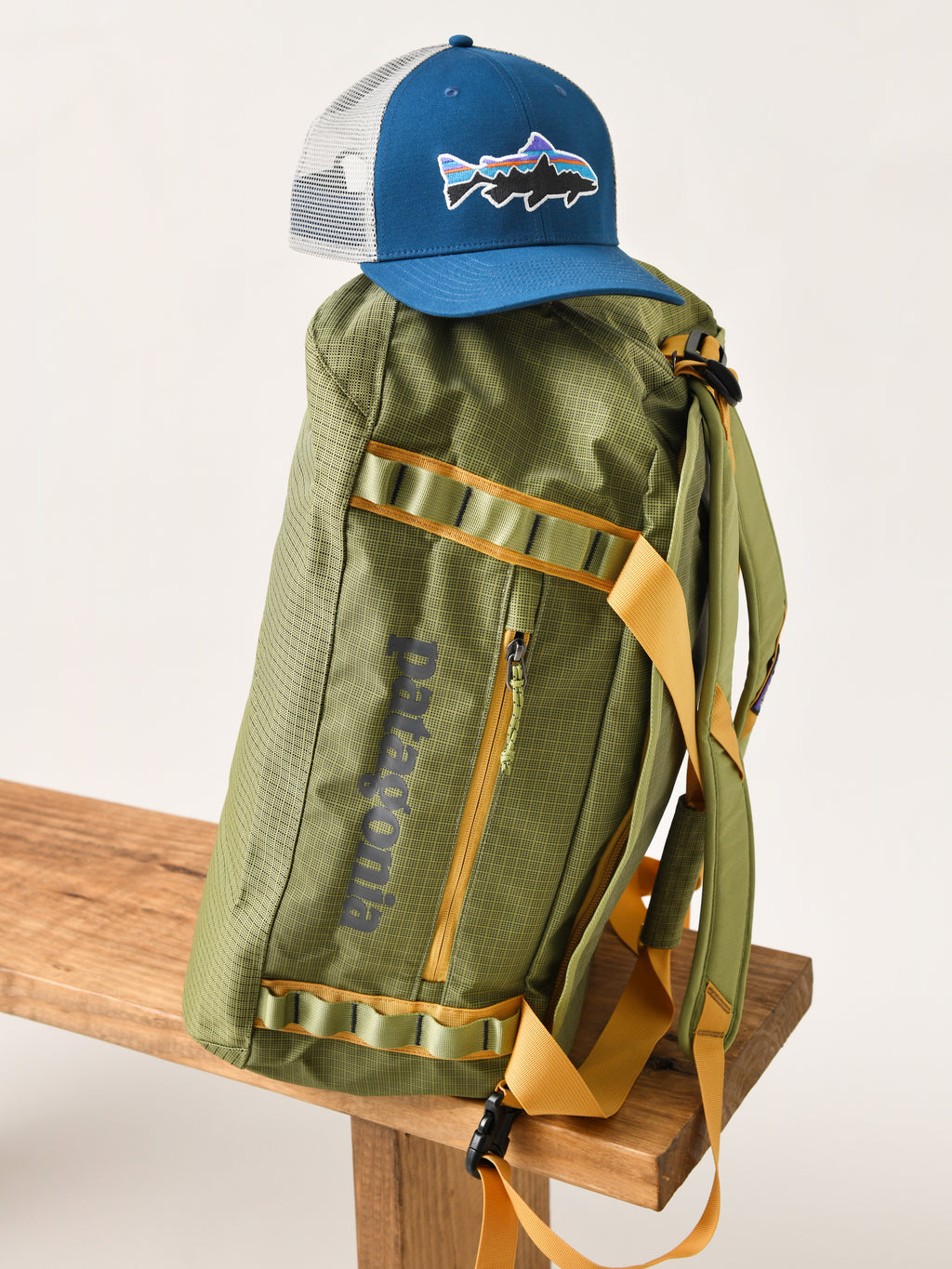 Patagonia Black Hole Duffel 40L – Saint Bernard