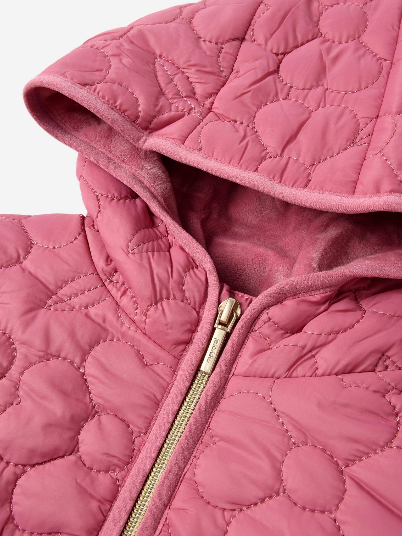 4.495_xCAMELLIA-alt1