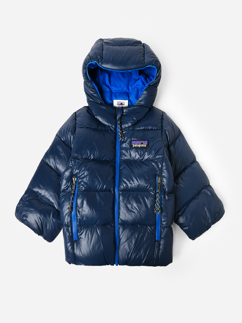 Patagonia Kids' Hi-Loft Down Sweater Hoody - Saint Bernard