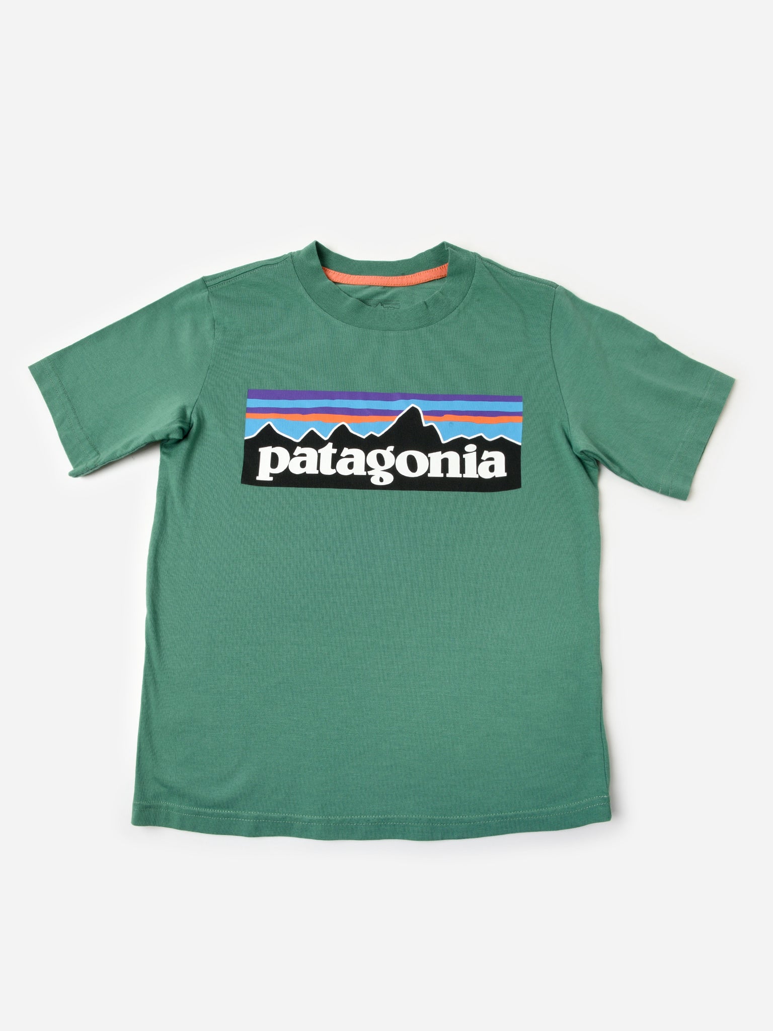 Patagonia Kids' P-6 Logo T-Shirt - Saint Bernard