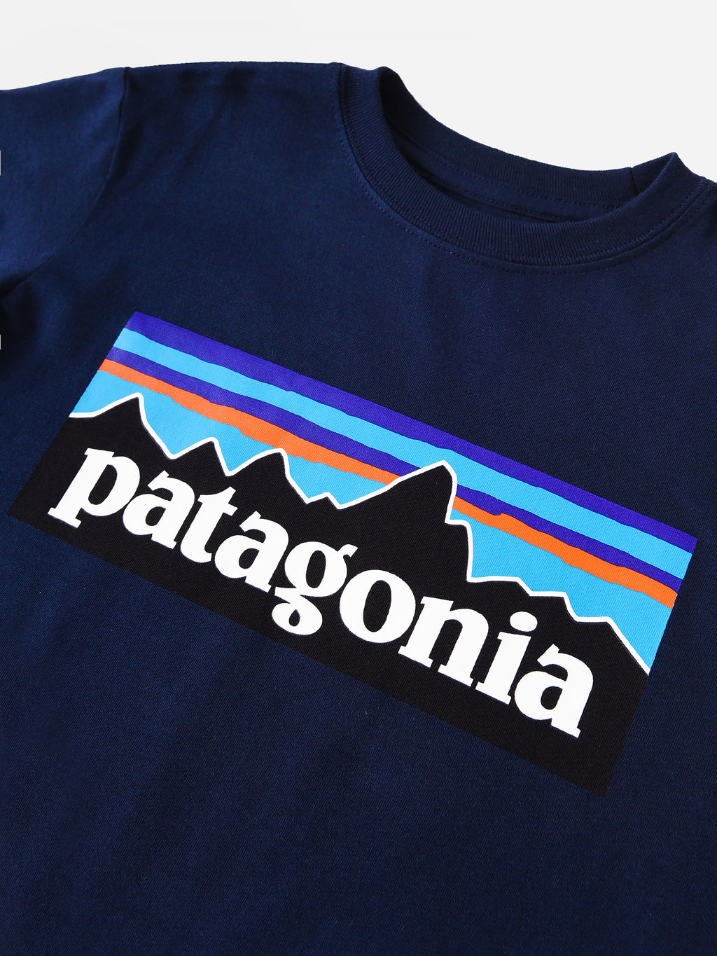 Patagonia Boys' Regenerative P-6 Logo T-Shirt - Saint Bernard