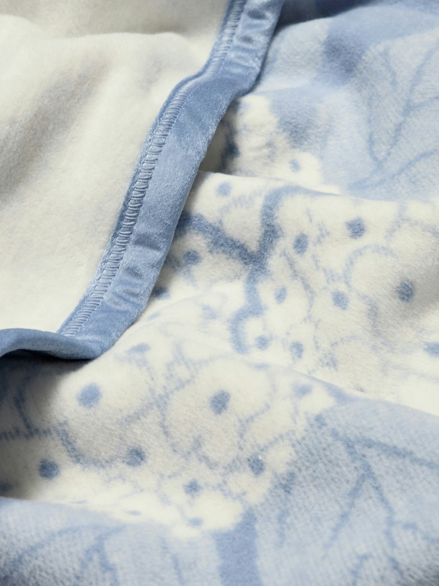 6652_xHYDRANGEASBLUEBELL-alt1