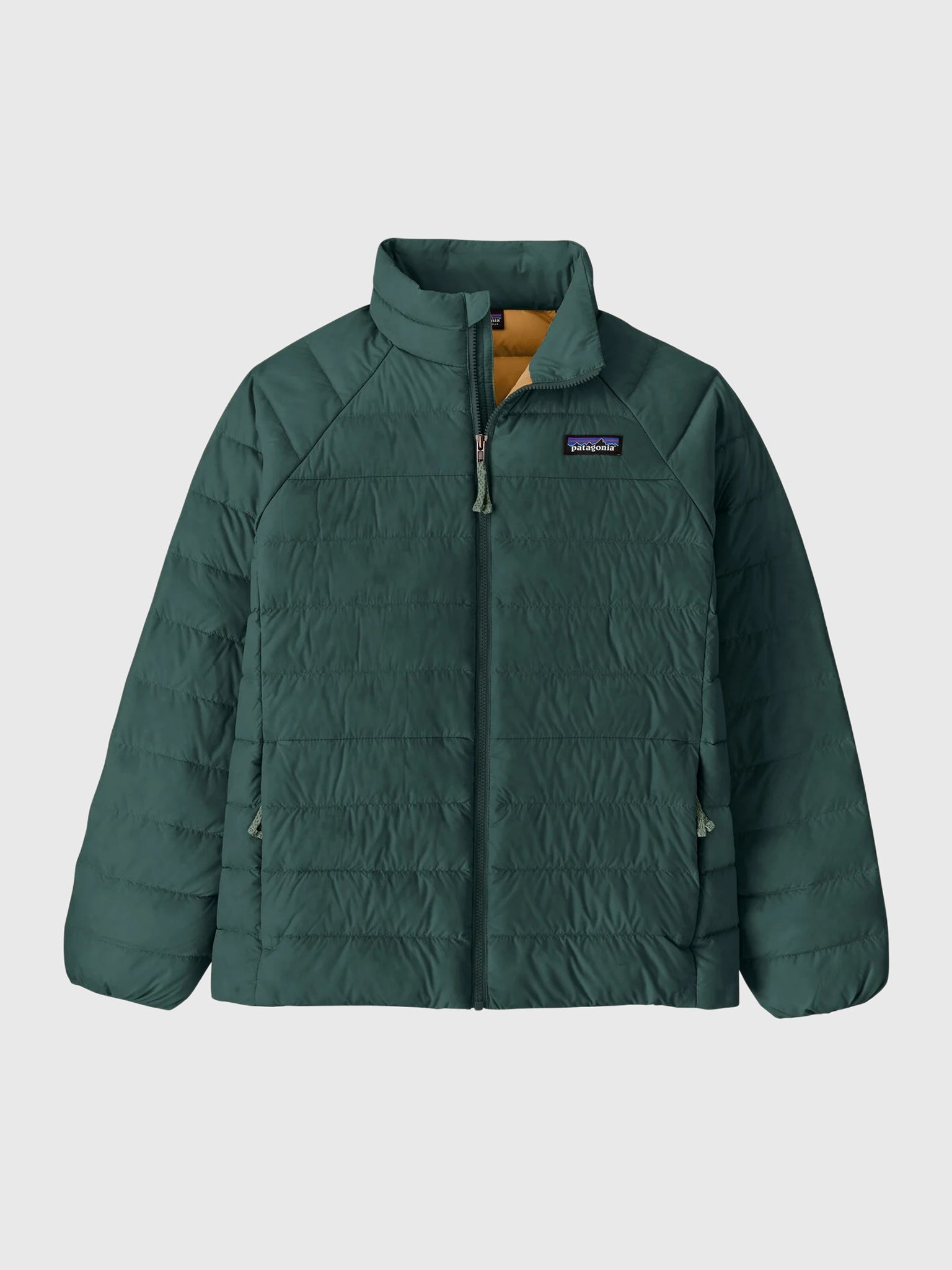 Patagonia Kids' Down Sweater™ Jacket – Saint Bernard