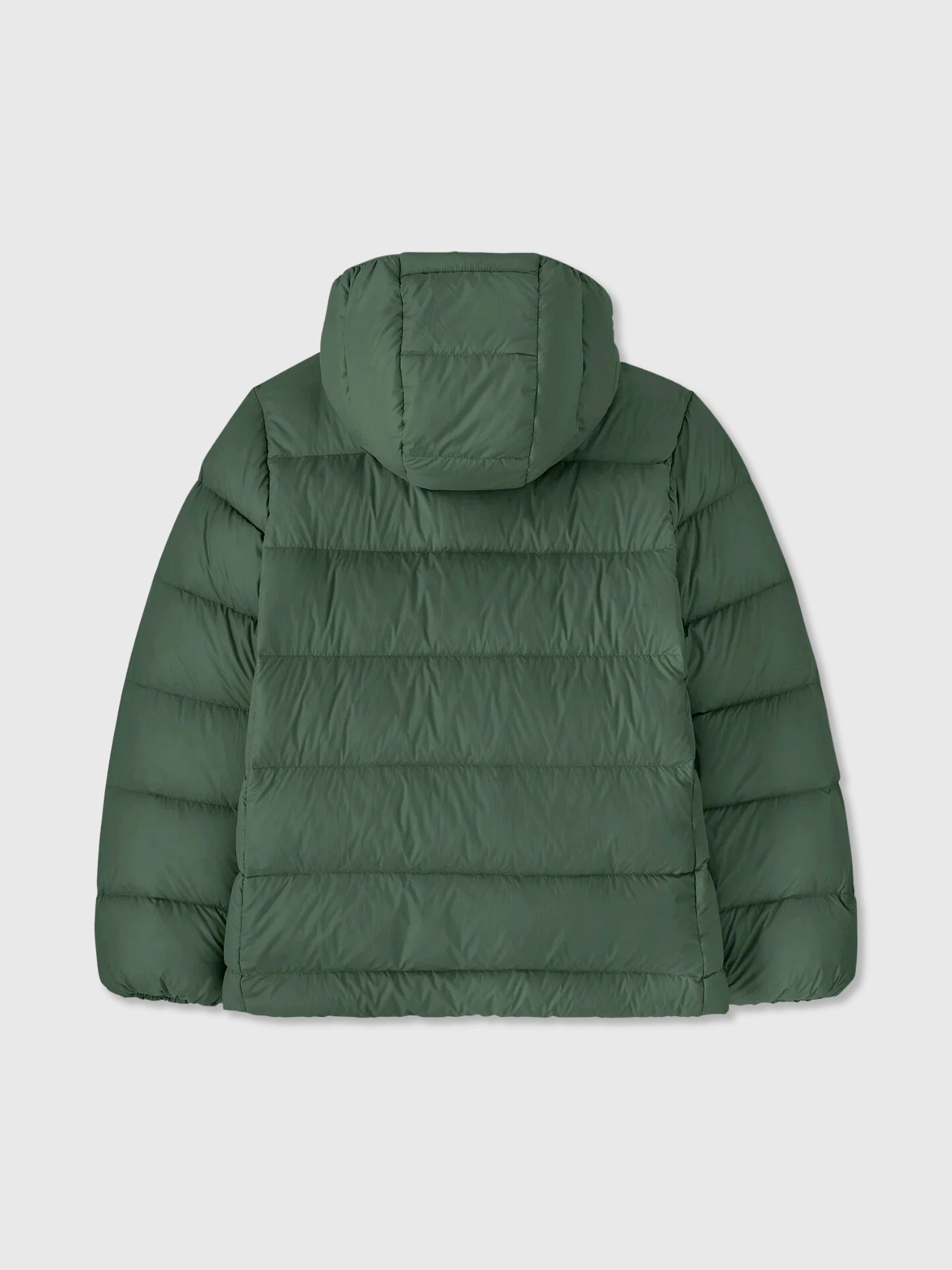 Patagonia Kids' Hi-Loft Down Sweater Hoody – Saint Bernard