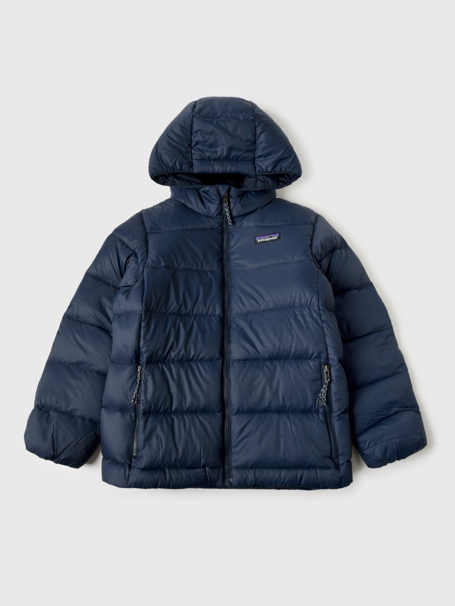 Patagonia Kids' Hi-Loft Down Sweater™ Hoody - Saint Bernard