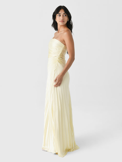 ALC Women's Bianca Strapless Pleated Maxi Dress