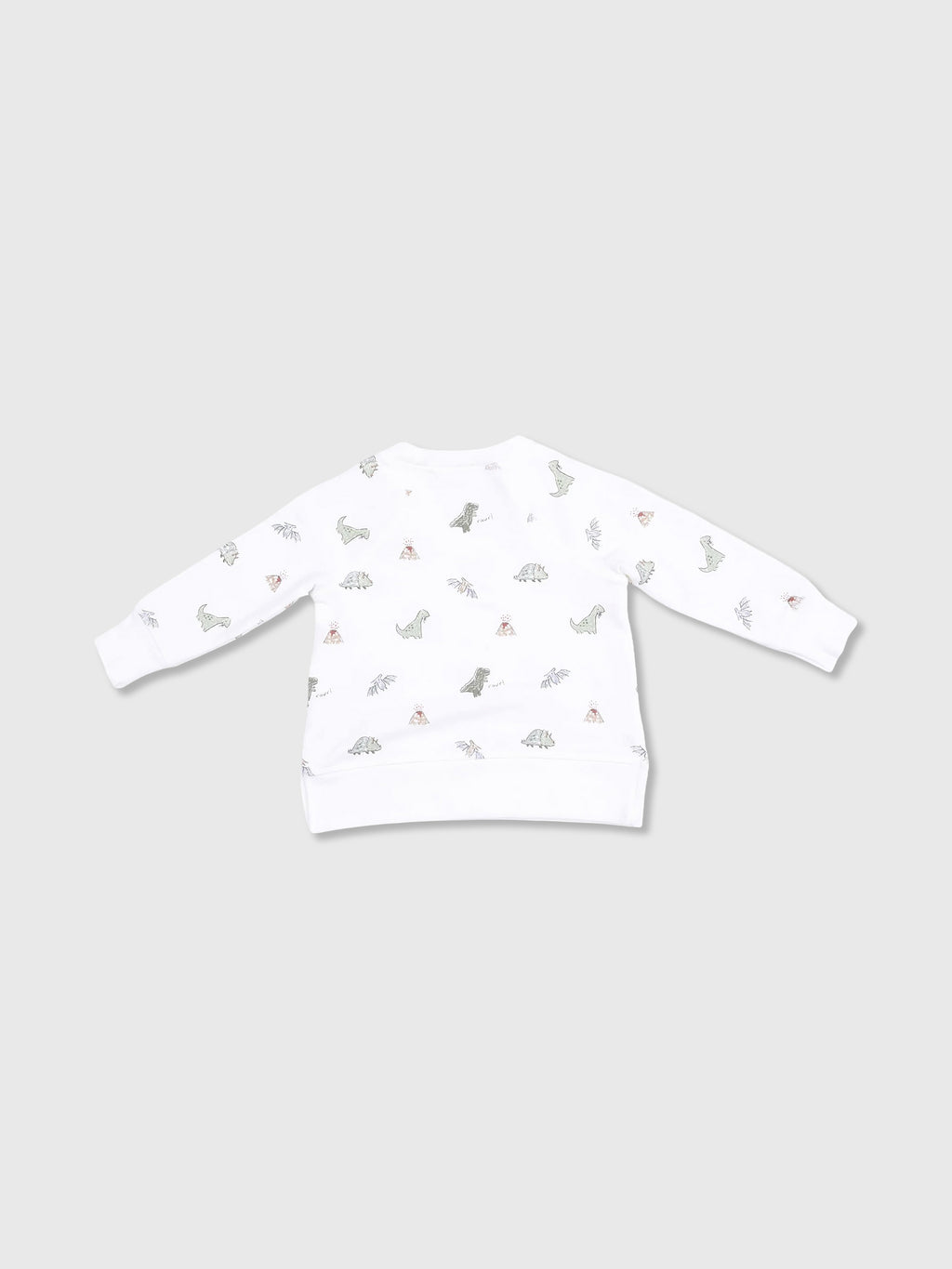 Angel Dear Baby Boys' Dinos Raglan Sweatshirt
