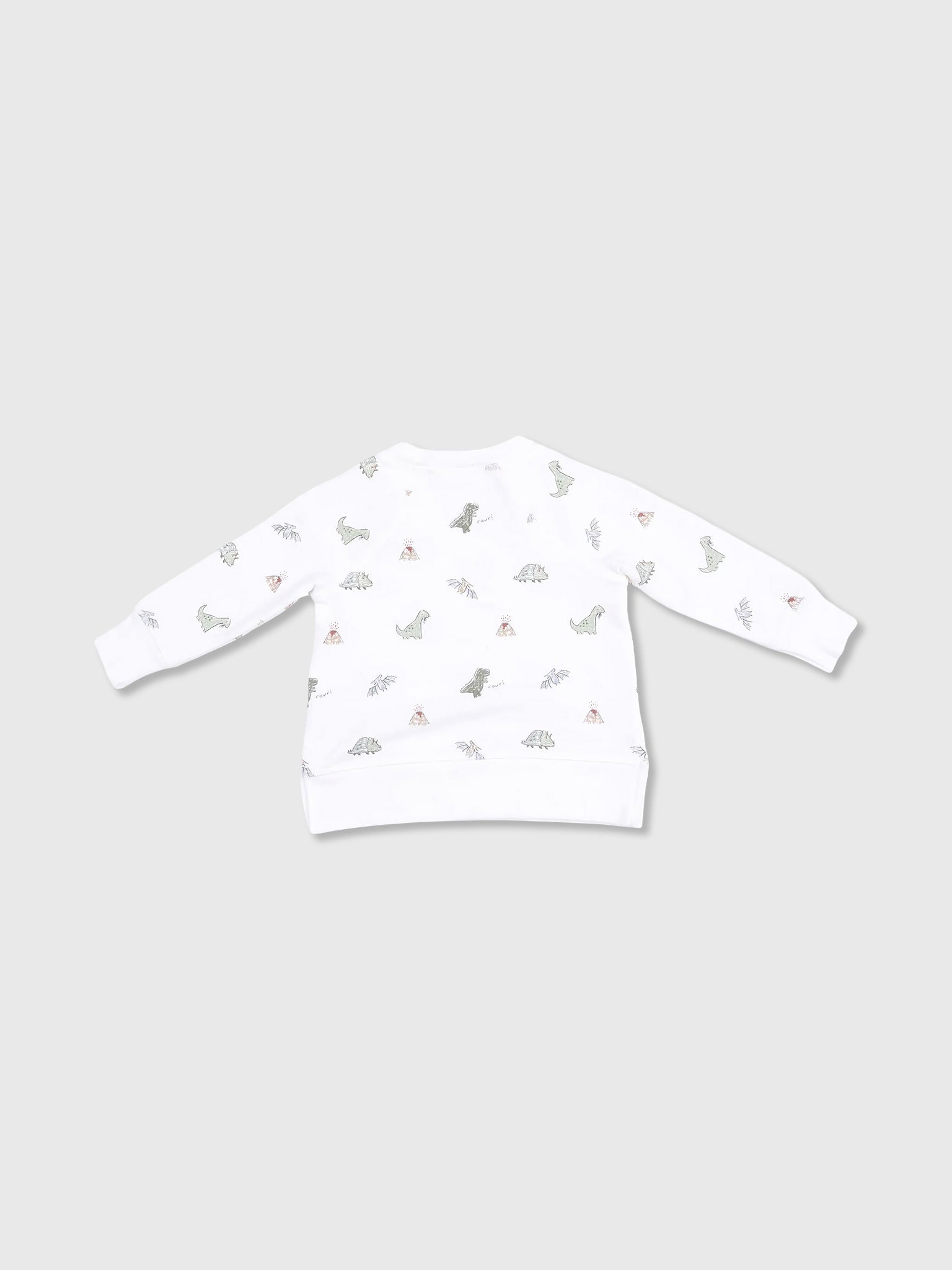 Angel Dear Baby Boys' Dinos Raglan Sweatshirt