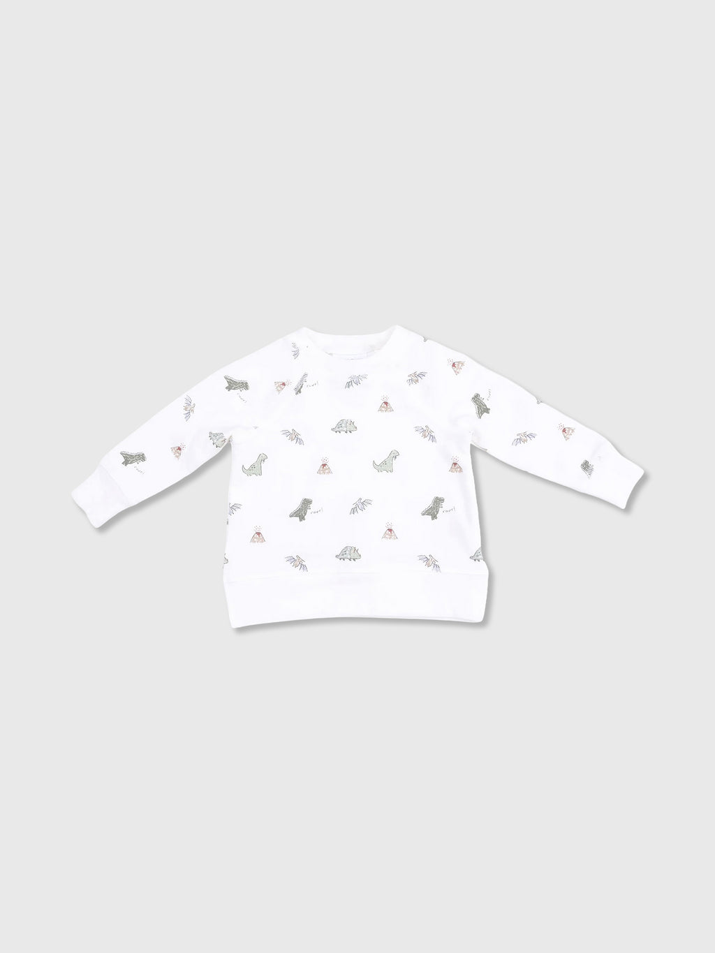 Angel Dear Baby Boys' Dinos Raglan Sweatshirt