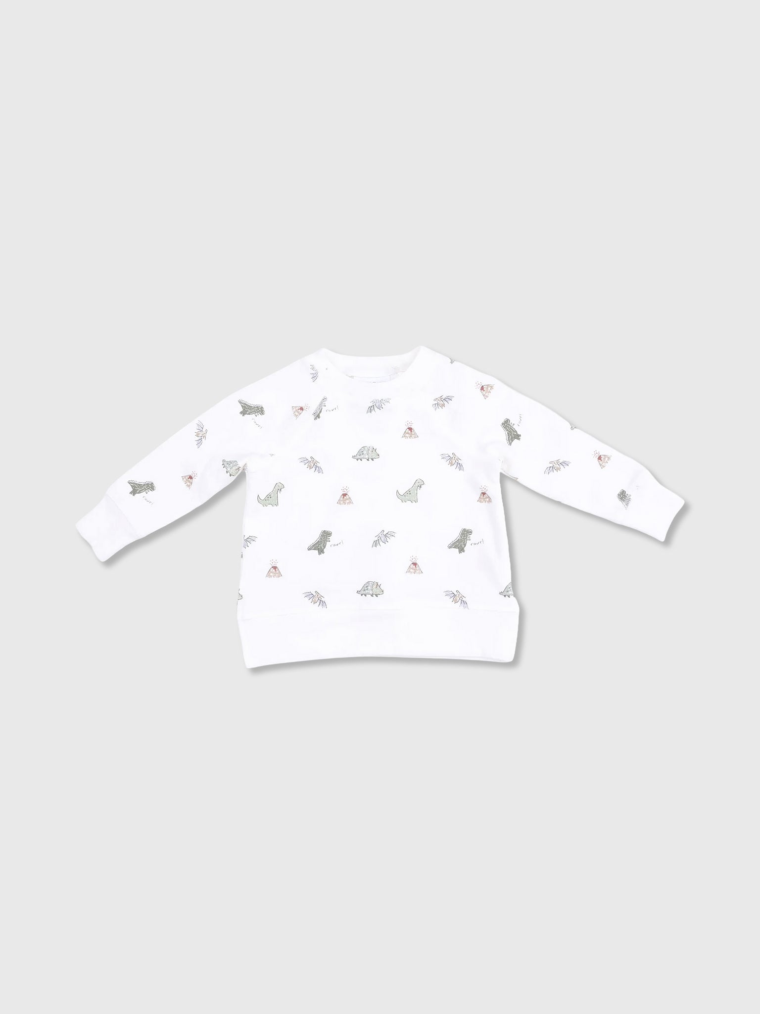 Angel Dear Baby Boys' Dinos Raglan Sweatshirt