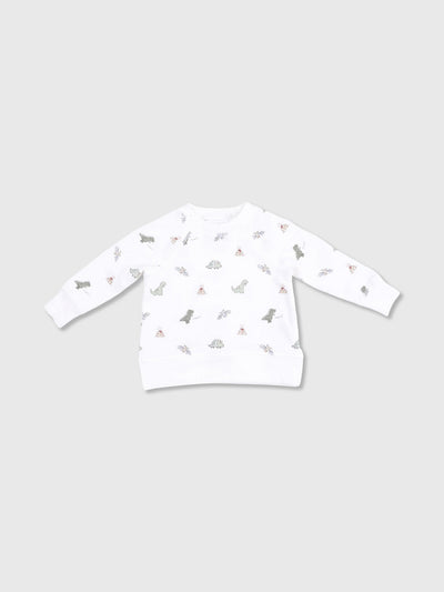 Angel Dear Baby Boys' Dinos Raglan Sweatshirt