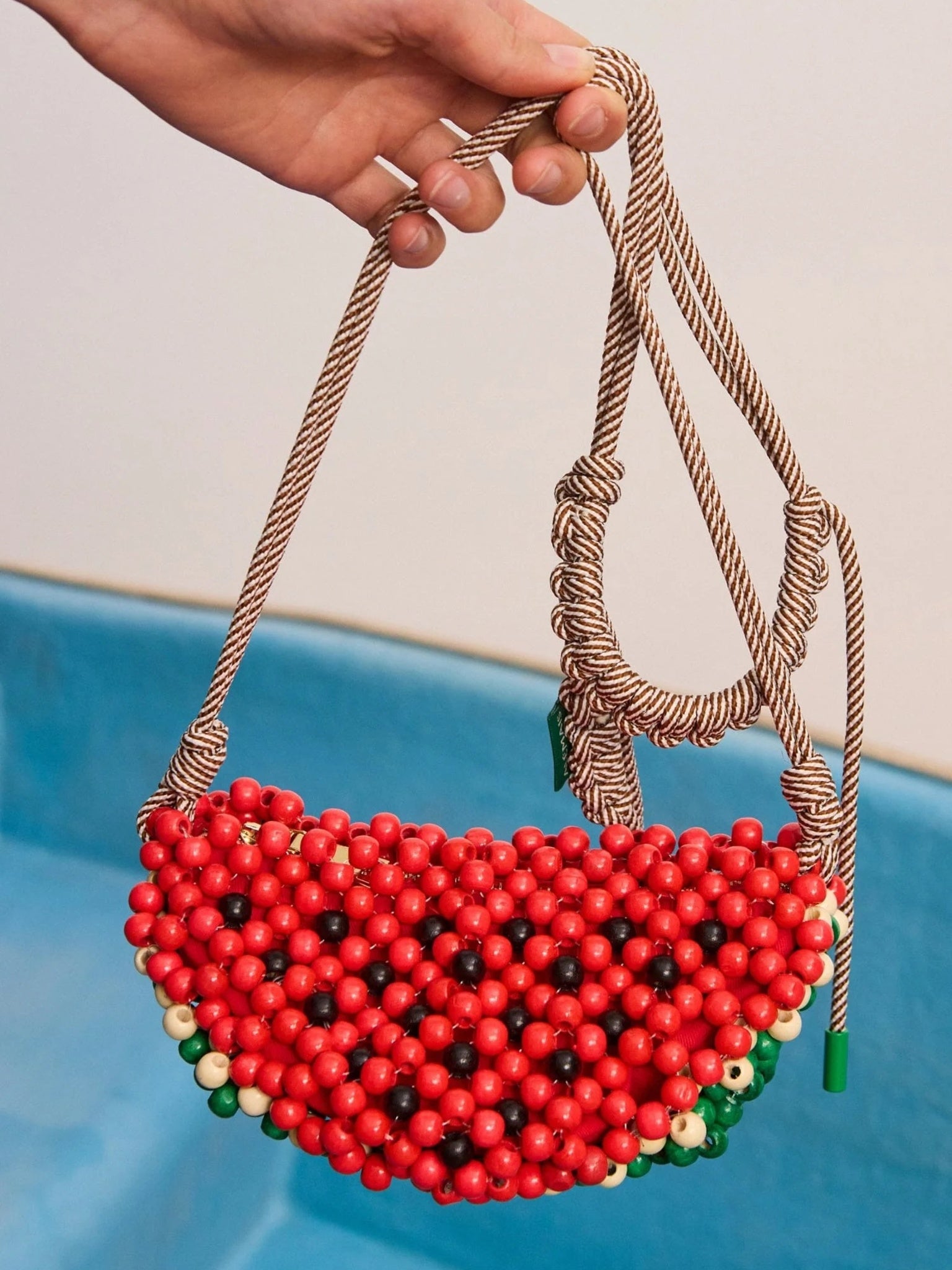 Alemais Wood Bead Watermelon Mini Bag - Saint Bernard
