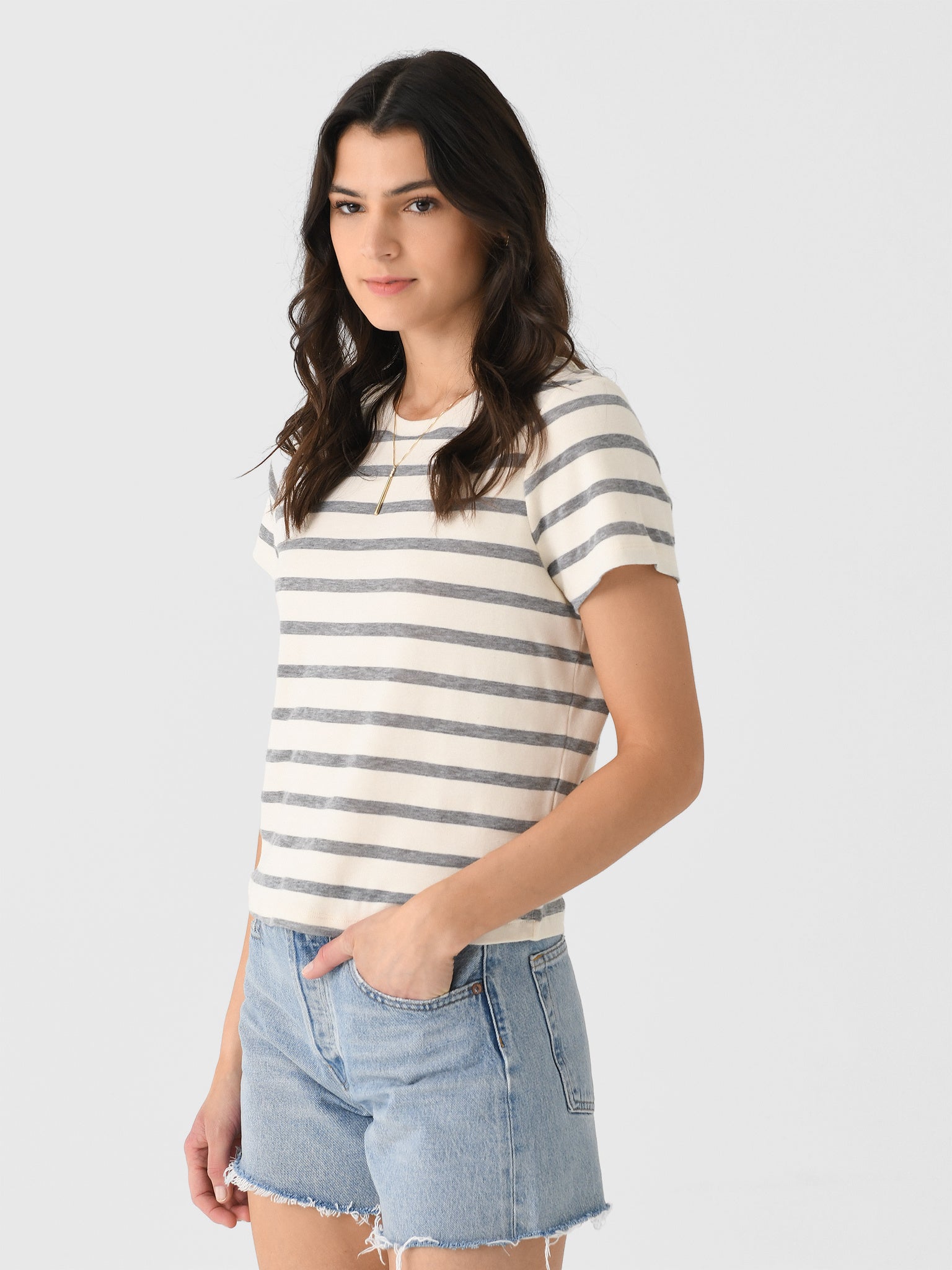 9372-1667xCAMPANULASTRIPE-alt2