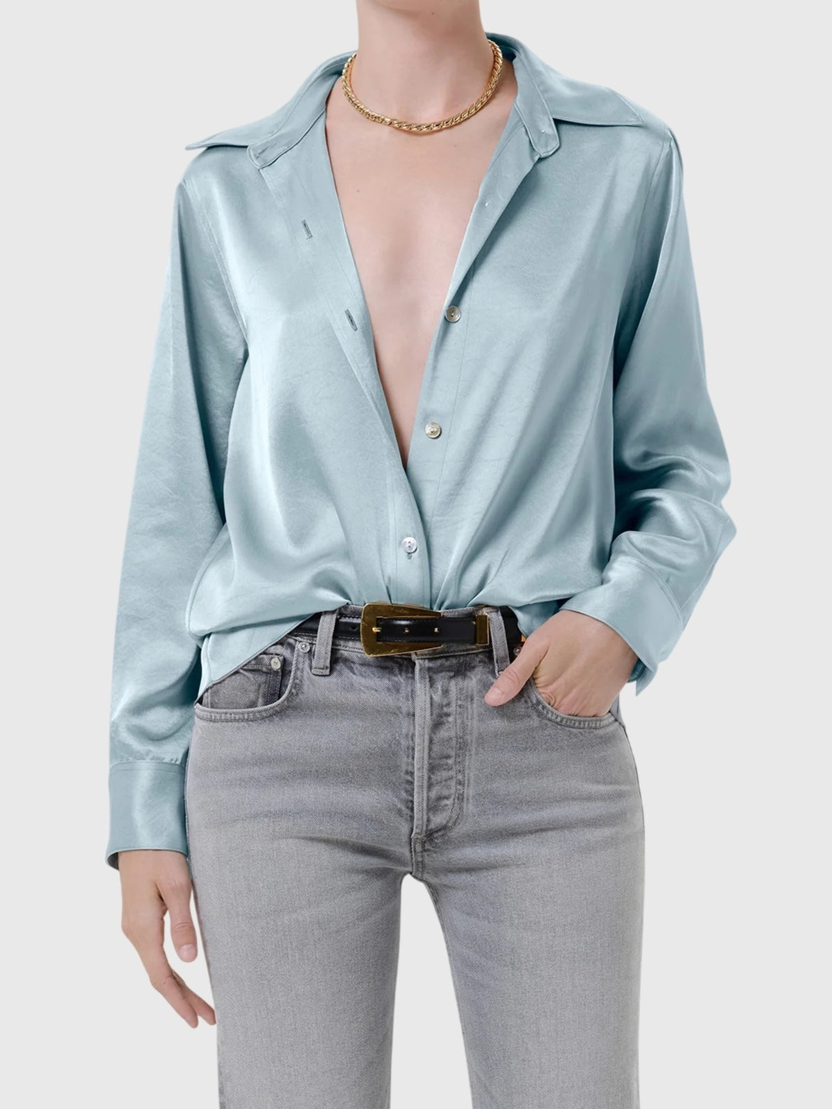 Citizens Of Humanity Women's Tullah Japanese Hammered Satin Shirt - Saint Bernard