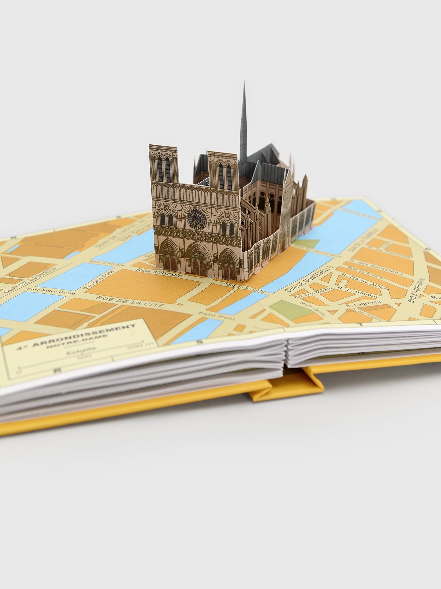 Rizzoli Paris Pop-up - Saint Bernard