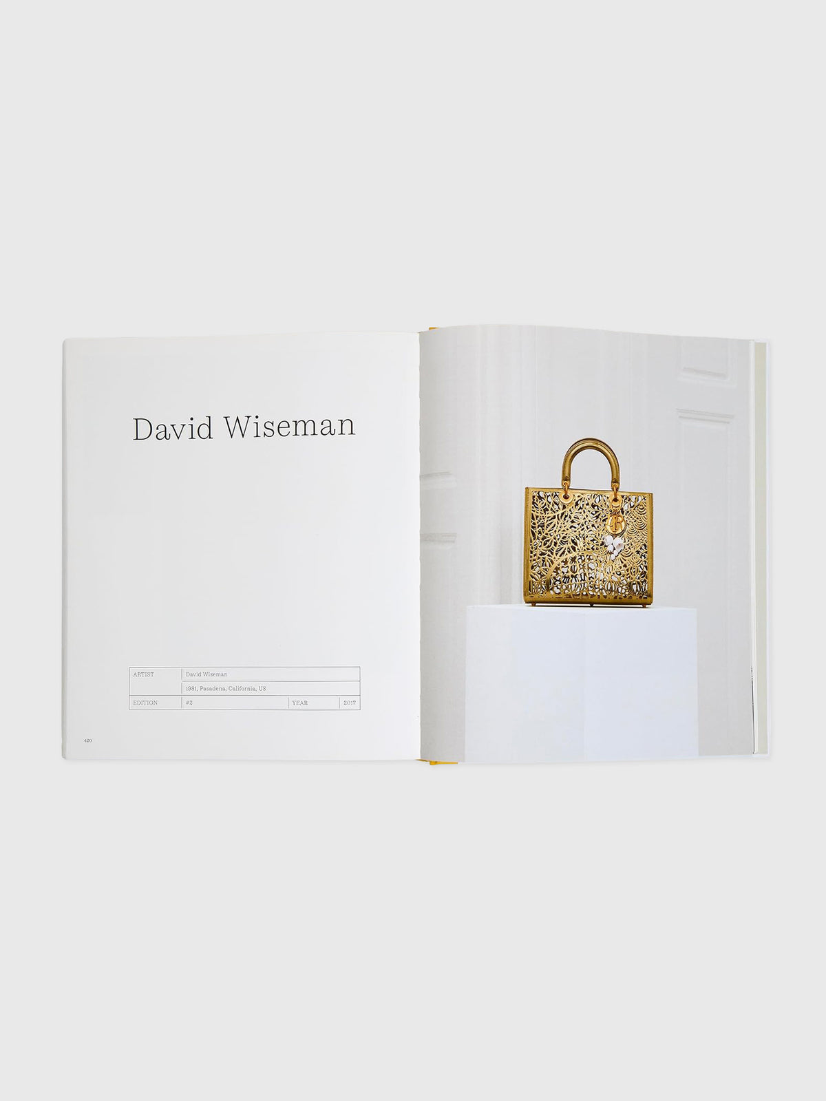 Rizzoli Dior Lady Art: The Lady Dior Reinvented by 99 Artists - Saint Bernard