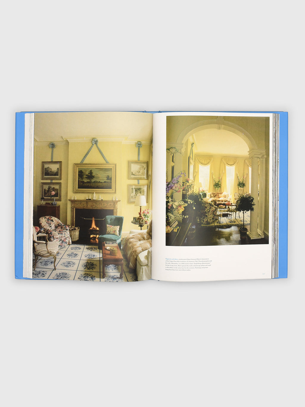 Rizzoli Mario Buatta: Anatomy of a Decorator - Saint Bernard