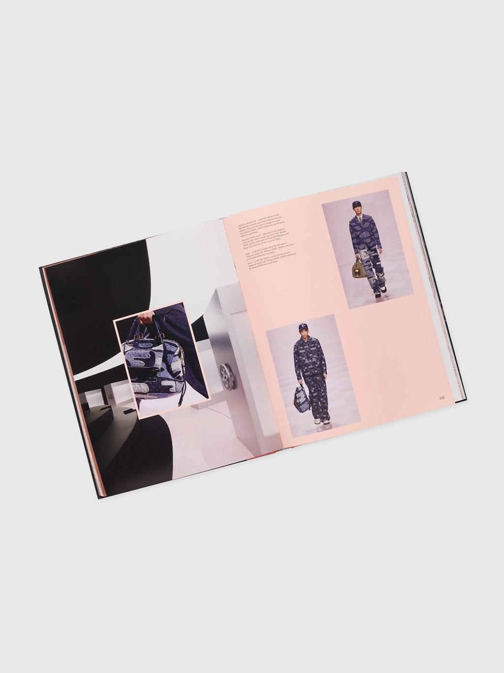 Rizzoli Louis Vuitton and Japan: Visionary Journeys - Saint Bernard